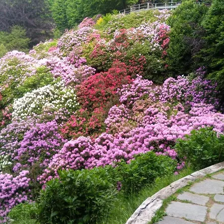 דירה Conca Dei Rododendri