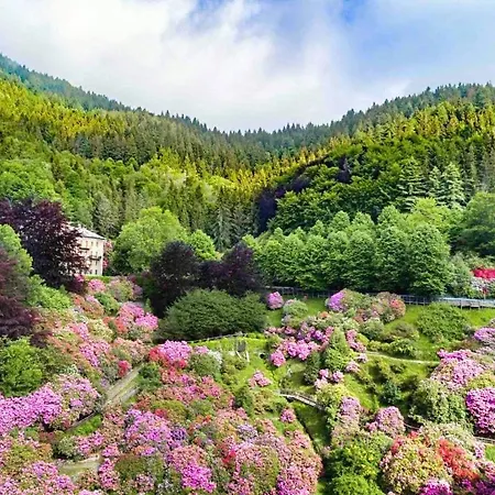 Conca Dei Rododendri * Trivero