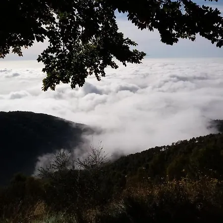 شقة Conca Dei Rododendri *