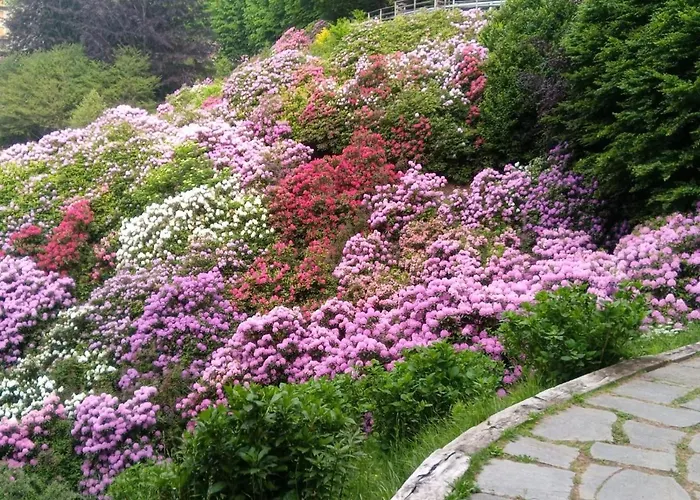 アパート Conca Dei Rododendri