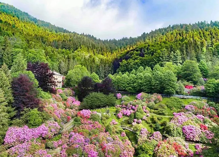 Conca Dei Rododendri * Trivero